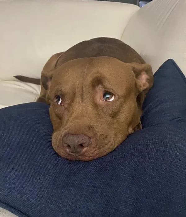 Nuestra inspiración: Maya